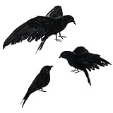 Asodomo Halloween-Krähen-Requisite, realistisch, handgefertigt, 3 Stück, schwarz gefiederte Krähen-Requisiten, Haltung: aufplustern, fliegen und stehen, als Deko für zuhause