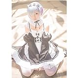 GODNECE Cosplay Uniform Anime, Rem Ram Cosplay Dienstmädchen Outfit Dienstmädchen Uniform Maid Cosplay Kostüm (Re Life in a Different World from Zero) - S