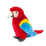 Teddys Rothenburg Kuscheltier Papagei stehend rot/blau/gelb 28 cm Plüschpapagei Plüschvogel by Uni-Toys