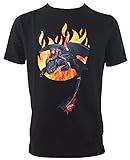 Dreamworks Dragons Kinder T-Shirt Ohnezahn Toothless & Hicks Flammen, schwarz (116-122)