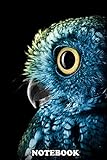 Notebook: An Illustration Of Halfbody Blue Owl With Dark Backgrou , Journal for Writing, College Ruled Size 6' x 9', 110 Pages